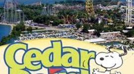 Timeline: My SMART Goal