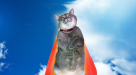 Timeline: All Me home-e