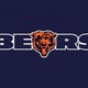 Chicago bears 500x375