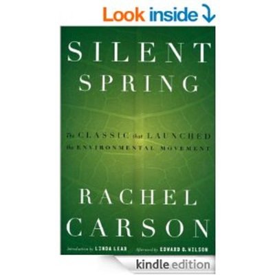 Timeline: environment through time