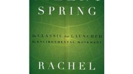 Timeline: environment through time