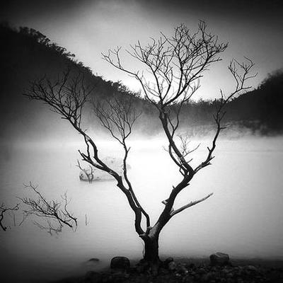 Timeline: Historia del cinema