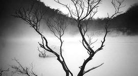 Timeline: Historia del cinema