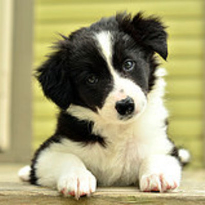 Timeline: 19langj- WEB 2.0 Timeline