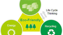 Timeline: Our Environment Through Time