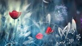 Timeline: Major Events leading to Civil War