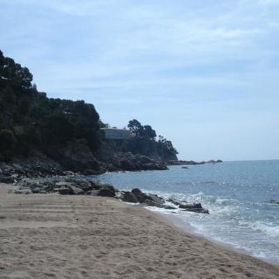 Timeline: language in my life