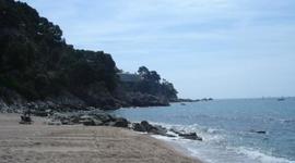 Timeline: language in my life