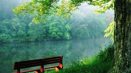 Timeline: Mi linea de tiempo