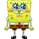 Sponge