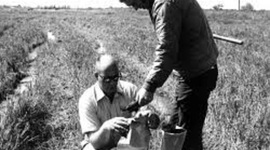 Timeline: Men's Jobs In The 1800's