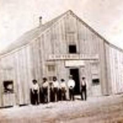 Timeline: Mr.M Kalli Lawson