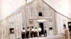 Timeline: Mr.M Kalli Lawson