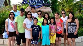 Timeline: Summer 2014- Vianca 8A Timeline