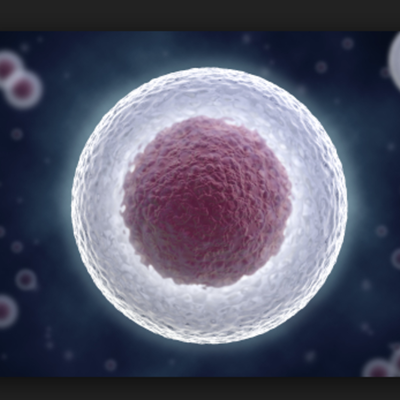 Timeline: cell theory timeline victoria 8-6