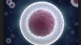 Timeline: cell theory timeline victoria 8-6