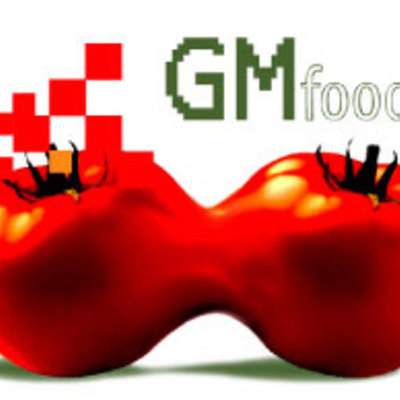 Timeline: Genetically Modified Food