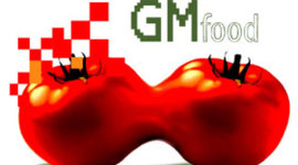 Timeline: Genetically Modified Food