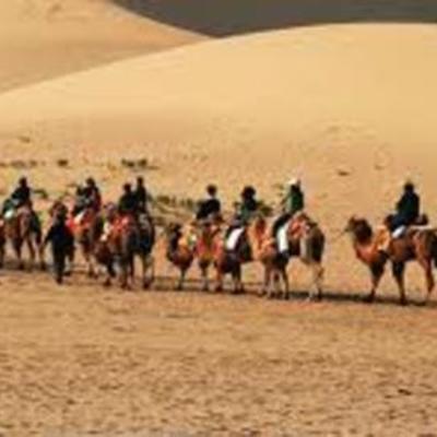 Timeline: Silk Road 2A MMLN