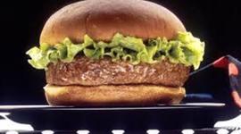 Timeline: Life Timeline Bob the Burger man