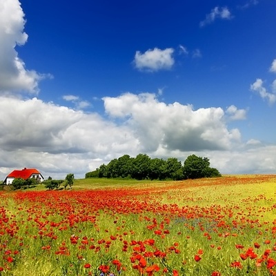 Timeline: Personal Development