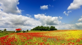 Timeline: Personal Development