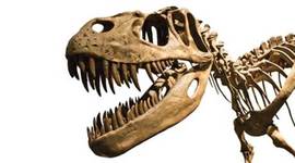 Timeline: Cecilia ajatelg