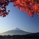 Autumn fuji japan wallpapers beautiful