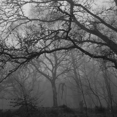 Timeline: History of Animation