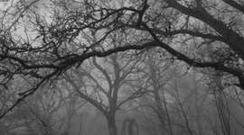 Timeline: History of Animation