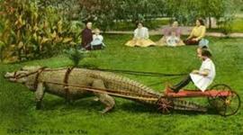 Timeline: Silk road 6b