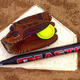 Softball bat glove ball homeplate