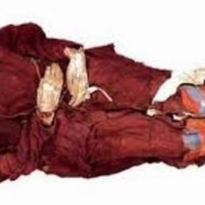 Timeline: Renaissance, Reformation, Age of Discovery 2014