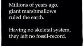 Timeline: History Peoples