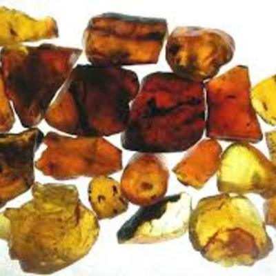 Timeline: Amber Road