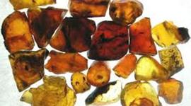 Timeline: Amber Road