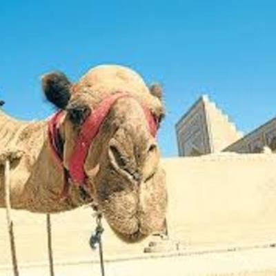 Timeline: Trans-Saharan Route; 6B Jenna K, Tim B, Abby S