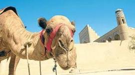 Timeline: Trans-Saharan Route; 6B Jenna K, Tim B, Abby S