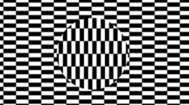 Timeline: culminating activity-eastdale