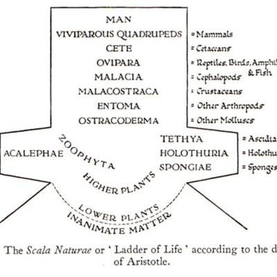 Timeline: Historia de las Colecciones BIológicas