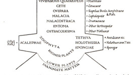 Timeline: Historia de las Colecciones BIológicas