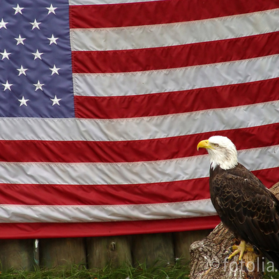 Timeline: ISIS Timeline