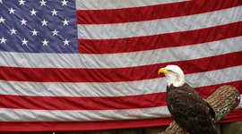 Timeline: ISIS Timeline