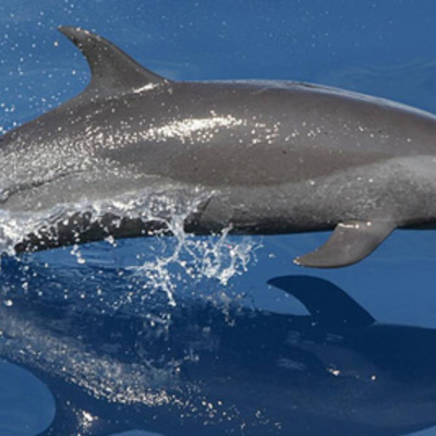 Timeline: Points in Time Timeline