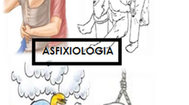 Timeline: Asfixiologia