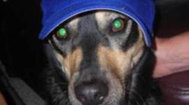 Timeline: Chronology of Me