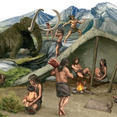 Timeline: Inicio de la  familia y su evolución