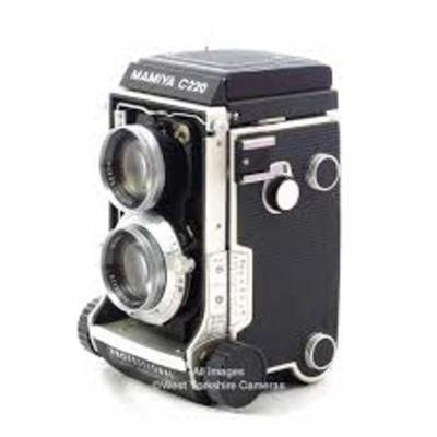 Timeline: BERNARDOMONTOYA_ENELMUNDODELASCAMARAS