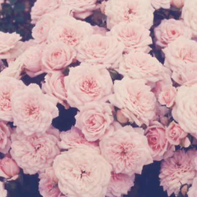 Timeline: Brooke's Life