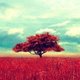 Vintage tree nature background hd fb timeline cover 851x315